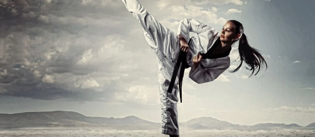 Cours de Taekwondo au Fushan, Vanves